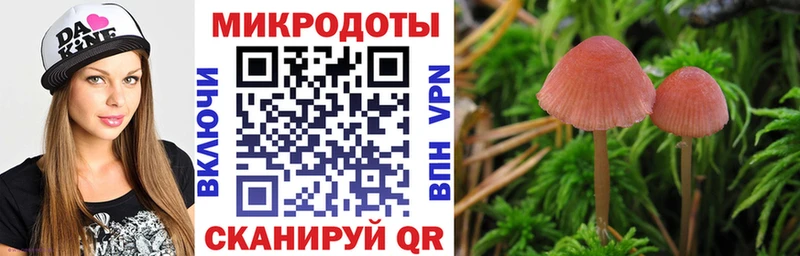 купить наркоту  Петропавловск-Камчатский  гидра зеркало  Галлюциногенные грибы мухоморы 